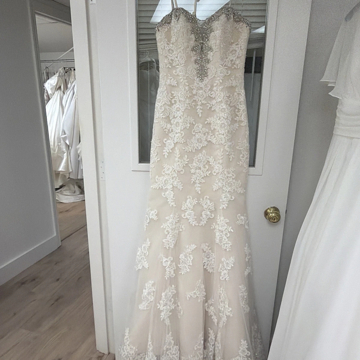 knee length dresses for ladies Stella Lace Dress main image 1