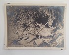 WW I Military Photos Troops, Dead German Soldier & USS Rambler (SP-211) Navy — photo 3