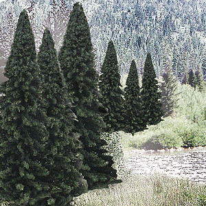 Woodland Scenics 1585 All Scale Evergreen Tree Value Pack 2 a 4" | Zustand: New