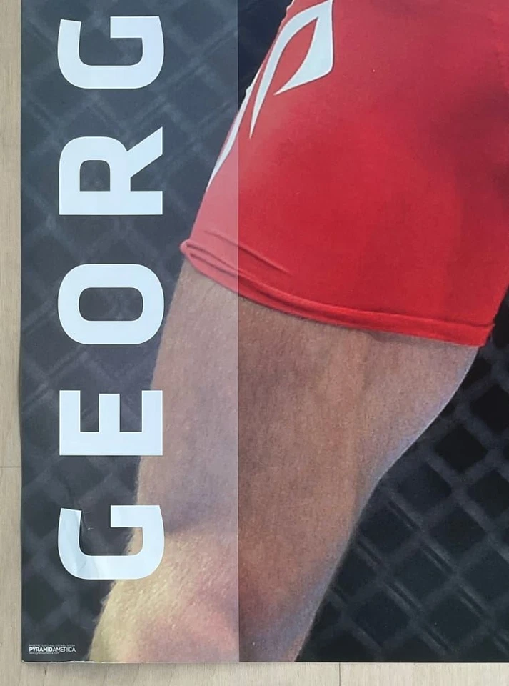 Póster de lucha libre Georges St-Pierre UFC campeón de peso welter 24 x 36 Foto 4 de 4