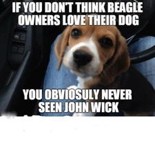 Funny Beagle  refrigerator magnet 3 1/2 x 3 1/2  "