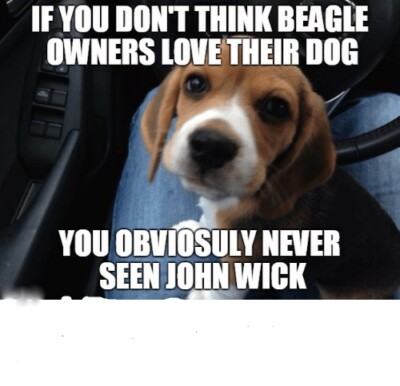 Funny Beagle  refrigerator magnet 3 1/2 x 3 1/2  ''