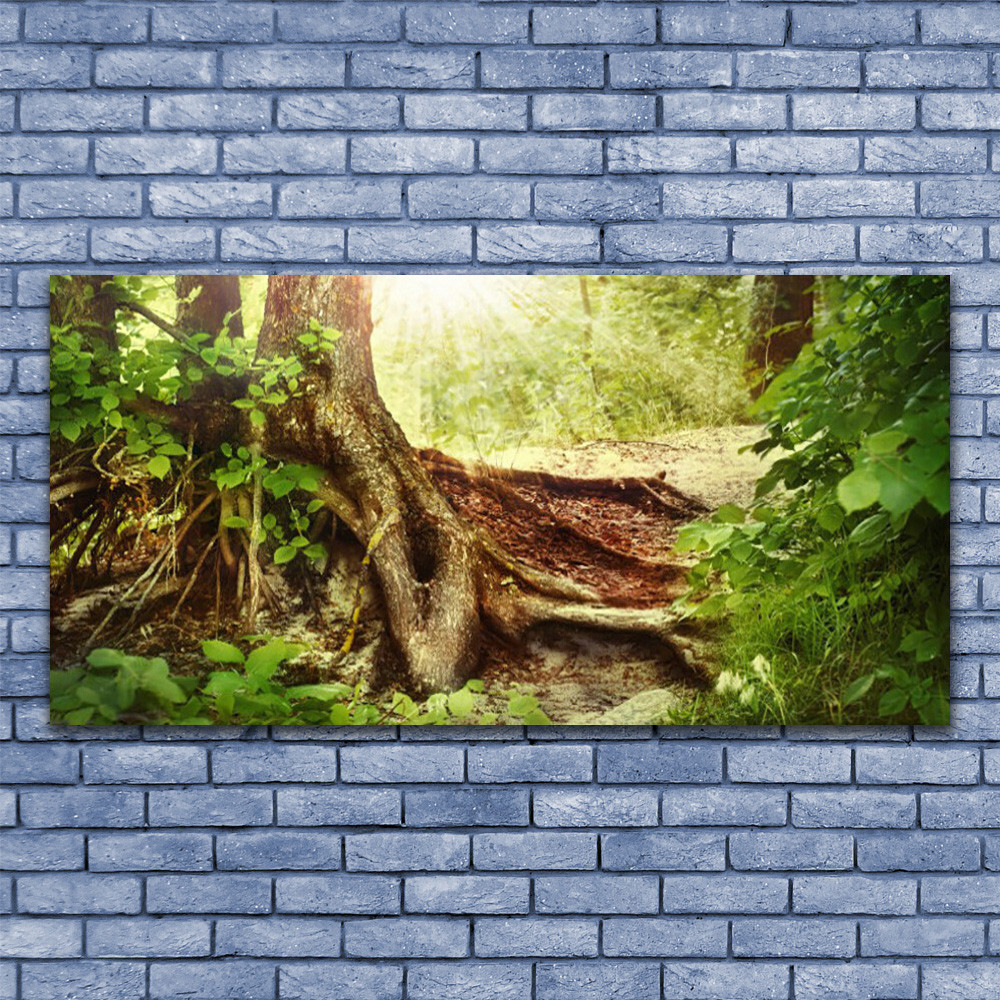 Tableau nature grand format 140x70 cm et décoration murale salon motif écorce d'arbre