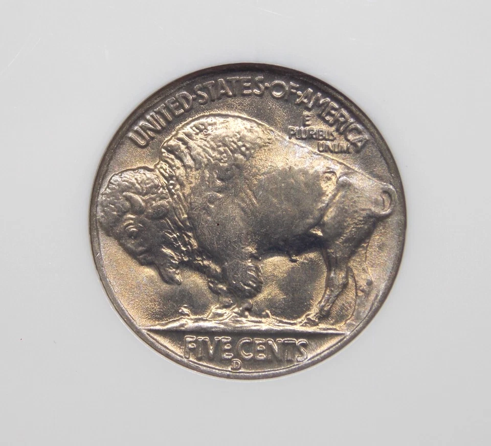 1938 "D/D" Indian Head BUFFALO Nickel 5c NGC MS66 #025 Gem BU Unc ECC&C, Inc. - Image 2 of 4