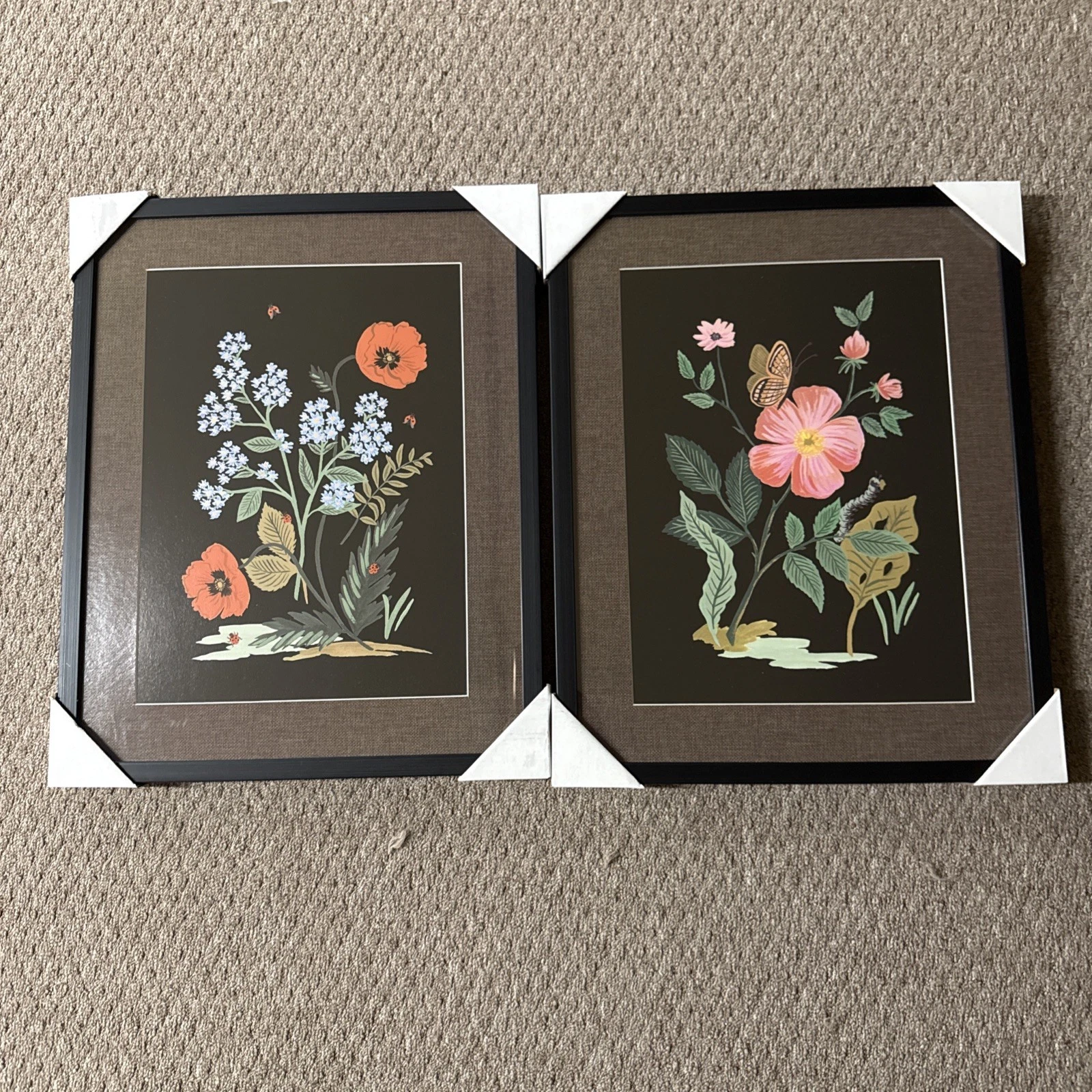 Rifle Paper Co. 16"x20" Botanical Poster Framed Wall Art Print Set of
Opens in a new window or tab