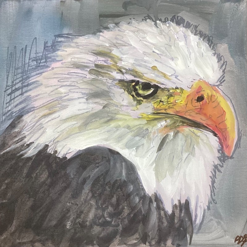 PDQ Artist Original Painting Animal Eagle Bird Abstract Acrylic 12x12 Canvas Art