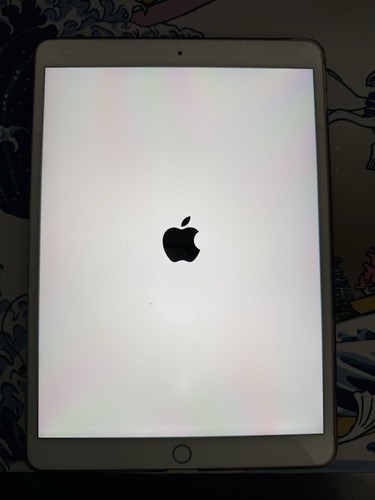 Apple iPad Air 3rd Generation A2152 Wi-Fi 10.5 in Rose Gold 64GB - BUNDLE FREE