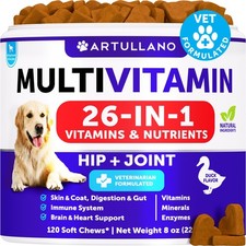 Dog Multivitamin Chews - 120 Count, - 120 Count