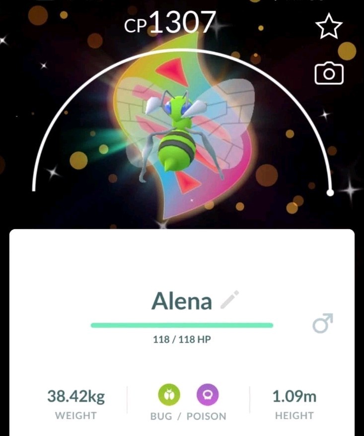 Pokémon GO PTC ✨️ Shiny Beedrill Mega Background