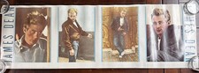 Vintage 1987 James Dean Long Poster 36” X 12”