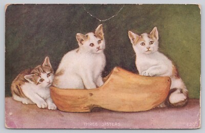 Vtg Post Card ''Three Sisters'' Kittens Playing in Shoe D355