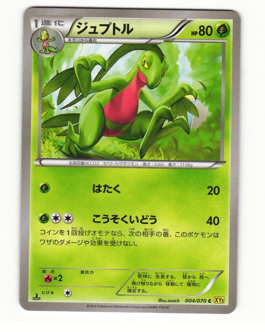 Grovyle 004/070 Common 2014 Gaia Volcano Pokemon Japanese NM