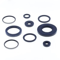 Serie Parolio Motor Yamaha Grizzly 700 16-18