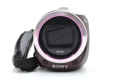 SONY HANDYCAM HDR-CX390 Brown HD Camcorder Digital Video Camera