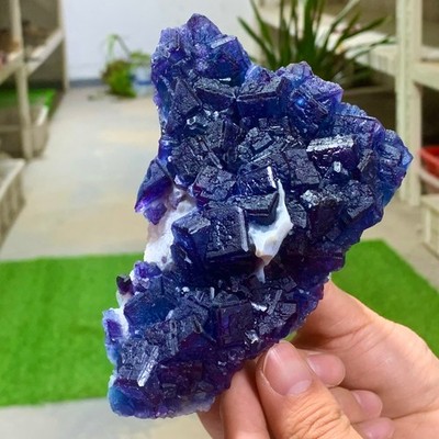 1.18LB Rare Transparent Purple+Blue Cube Fluorite Mineral Crystal ...