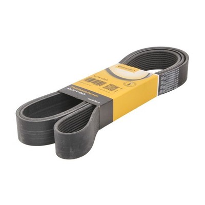 Keilrippenriemen Continental CTAM 10 PK 2233