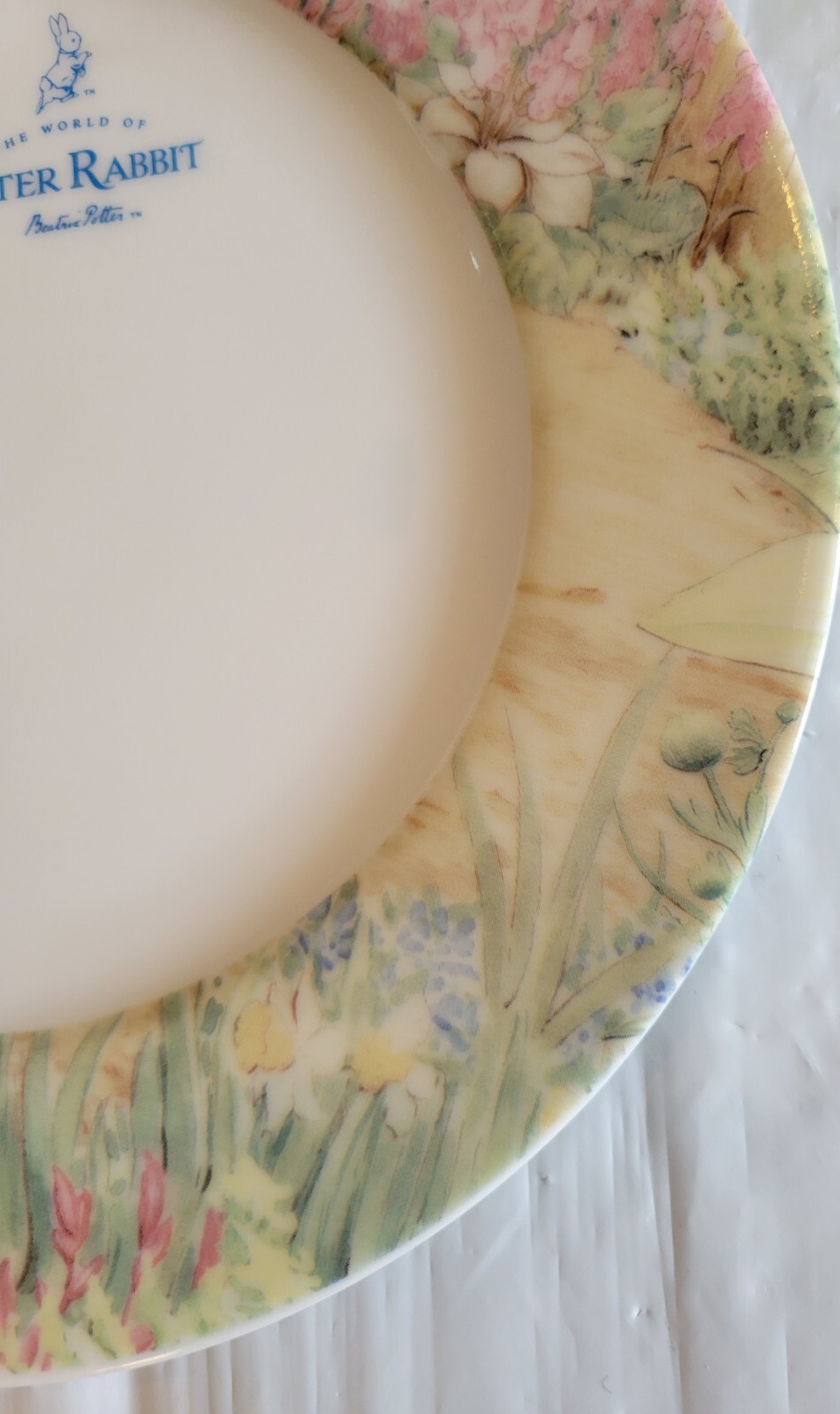 3x Zrike Brands PETER RABBIT Easter Meadow Bunny Ceramic Salad Plates - NEW 8”