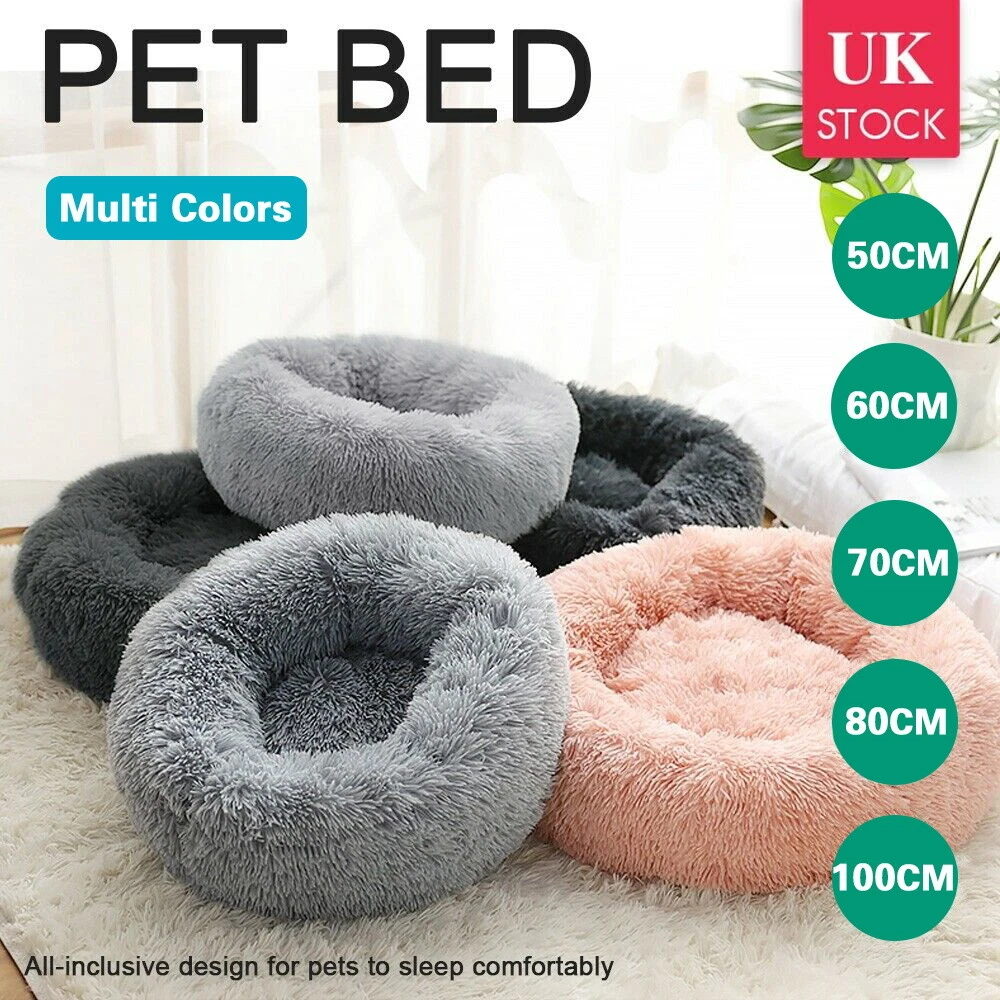Marshmallow top bed cat