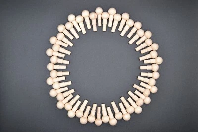 MARKENLOS 50 Ersatzzapfen, Reparatur, Verbinder,Holzeisenbahn, Brio, Heros, Steckstäbi