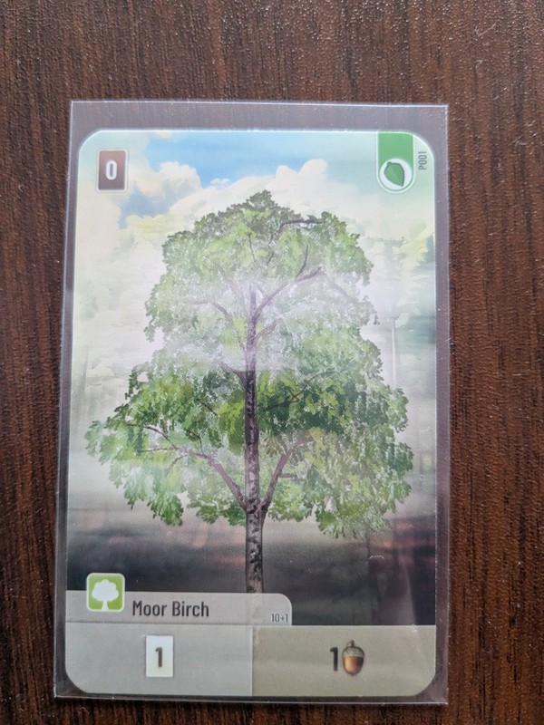 Forest Shuffle Promo Card P001 Moor Birch