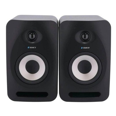 DDP TANNOY REVEAL 502 Active Powered Studio Monitor Speakers Pair Serviced JAPAN