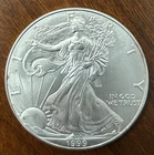 1999 American Silver Eagle - Silver Dollar