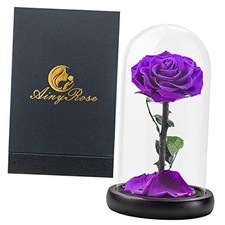 Preserved Real Rose Gifts for Mom Flower in Glass Gifts for Valentine's Purple