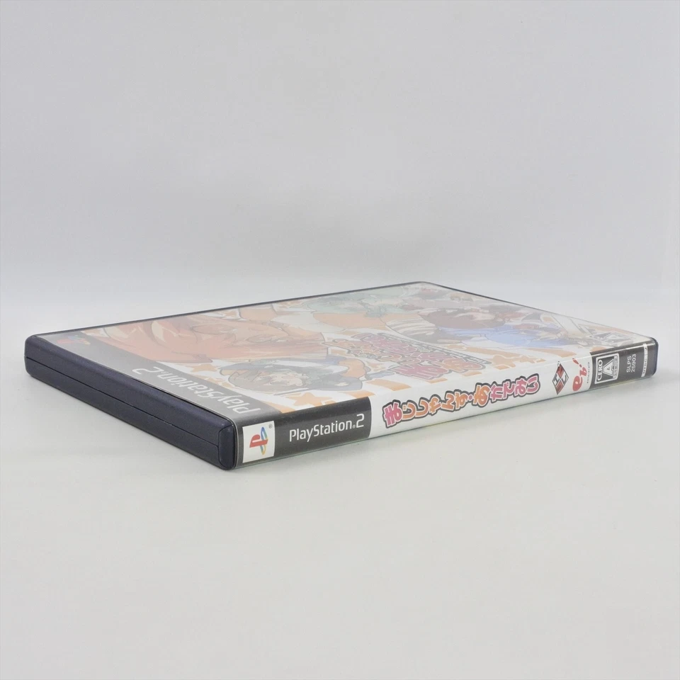 THE MAGICIAN'S ACADEMY The Best Magicians PS2 Playstation 2 For JP 2044 p2 - Image 4 of 4