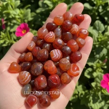 10Pcs Grade A+ Carnelian Tumbled Stones, 0.5-1" Small Red Agate Polished Tumbled