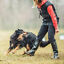 thumbnail 4  - Dog Training Whistle Control Bark Stop Barking Deterrent to Pet Melbourne