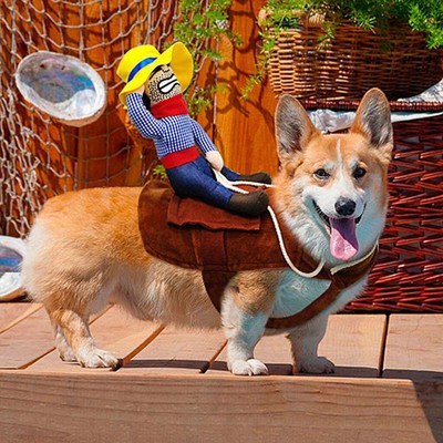 puppy cowboy costume