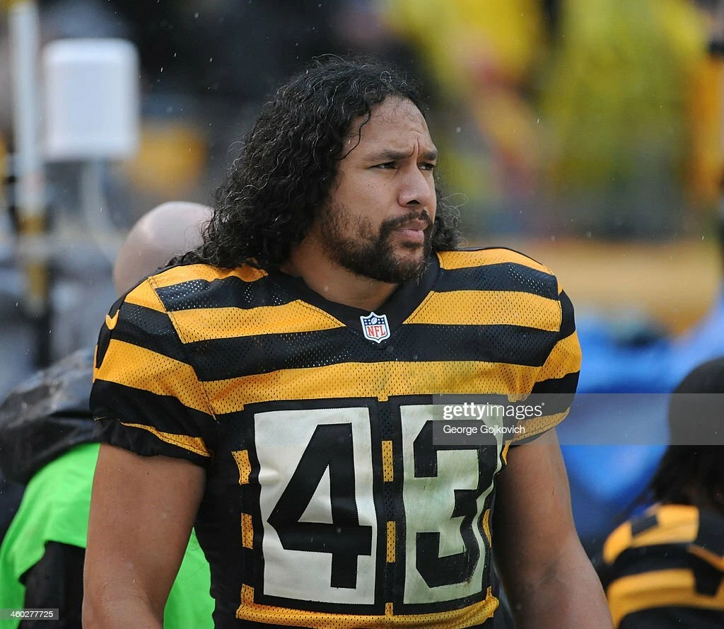 Nike Pittsburgh Steelers No43 Troy Polamalu Pink Draft Him Name & Number Top Women's Stitched NFL Elite Jersey