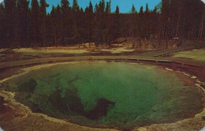 Morning Glory Pool Yellowstone National Park Postcard