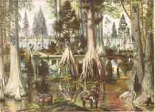 Prehistoric  THE BROWN COAL FOREST Color Print By Z Burian 1963 VF Clean 9x13"