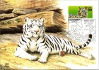 Dr Jim Stamps Maximum Card 29C Bengal Tiger First Day Issue