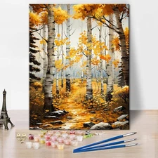 Forest Paint by Numbers Kit for Adults 16x20 Birch Trees Landscape Art