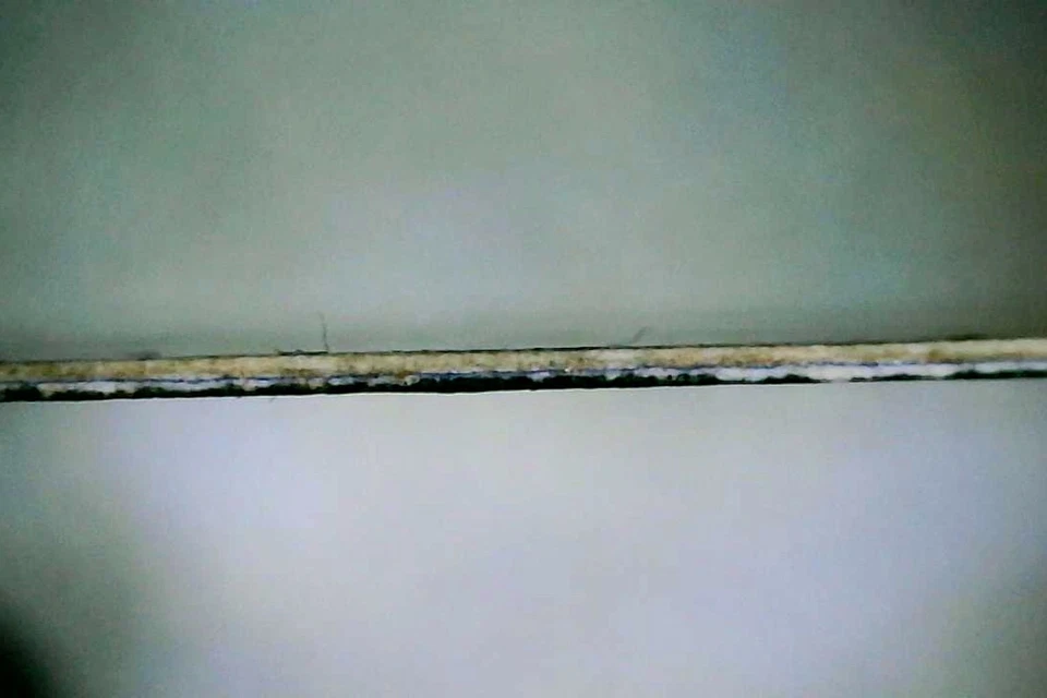 MTG VETERAN BODYGUARD (Ink) Alpha (OldManMTG 012-655) - Image 3 of 4