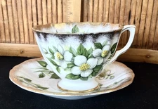 Adderley Cup and Saucer Set / Dogwood Flowers w Gold Trim / Fine Bone China