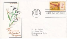 STAMP US SCOTT 1378 "Botanical Congress-Ocotillo" 6 CENT 1969 FDC - A