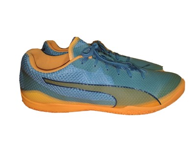 puma indoor soccer shoes for men