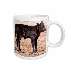 3dRose Black angus cow standing in pasture - NA02 PWO0002 - PiperAnne Worcester