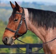 HORSE SIZE Any Color HALTER BRIDLE w BIT HANGERS & REINS made from Beta Biothane