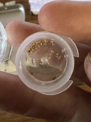 .5 G Pure Gold Yukon  Nuggets, Along With A .5 G 10k Gold Coin. Total 1 Gram