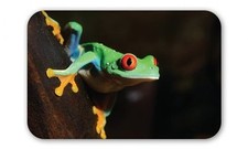 Green Tree Frog Car Vinyl Sticker - SELECT SIZE