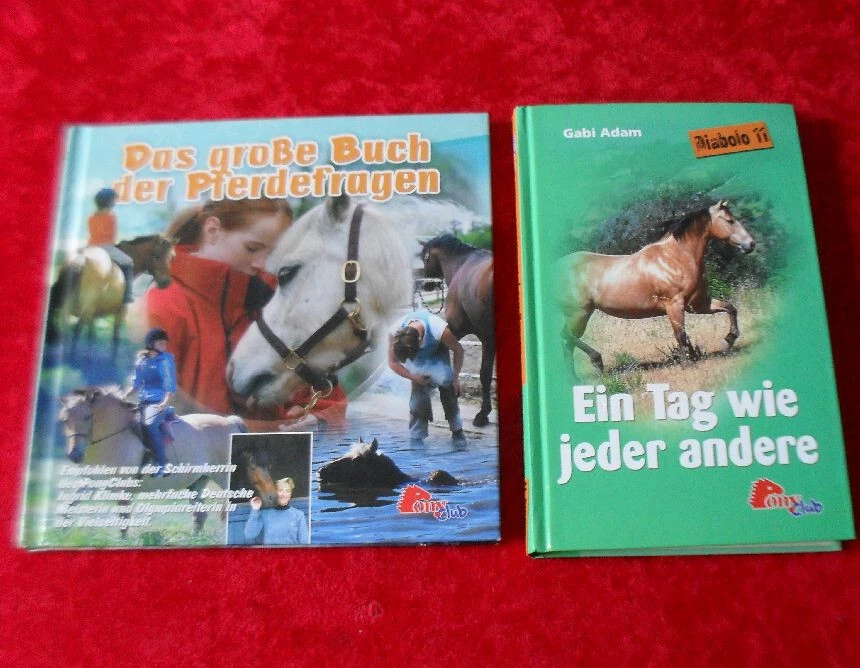 12 Bücher Sammlung PONY CLUB Angela Dorsey, Joanna Campbell u.a. Büchersammlung - Bild 2 von 4