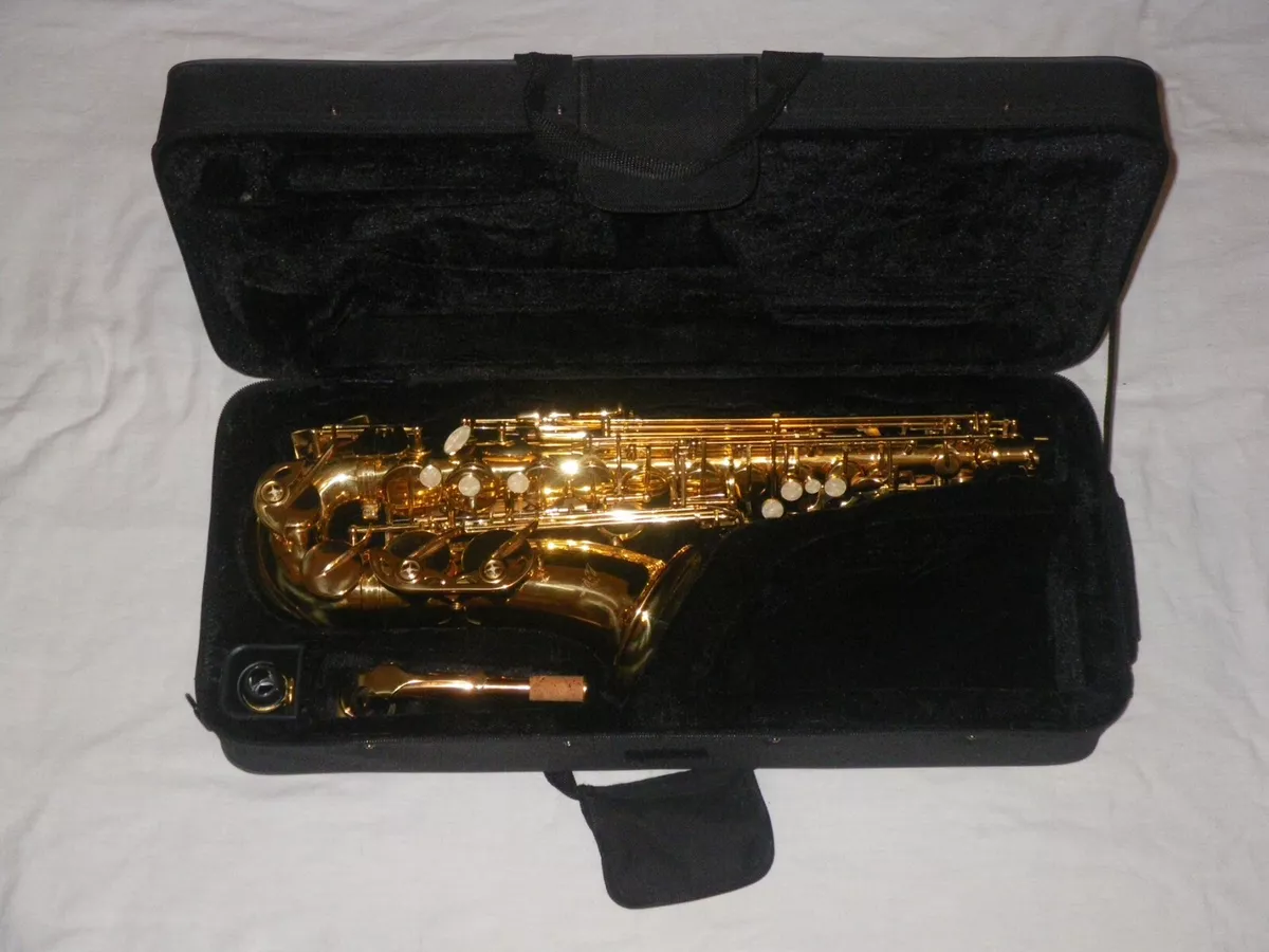 Best budget 2024 alto saxophone