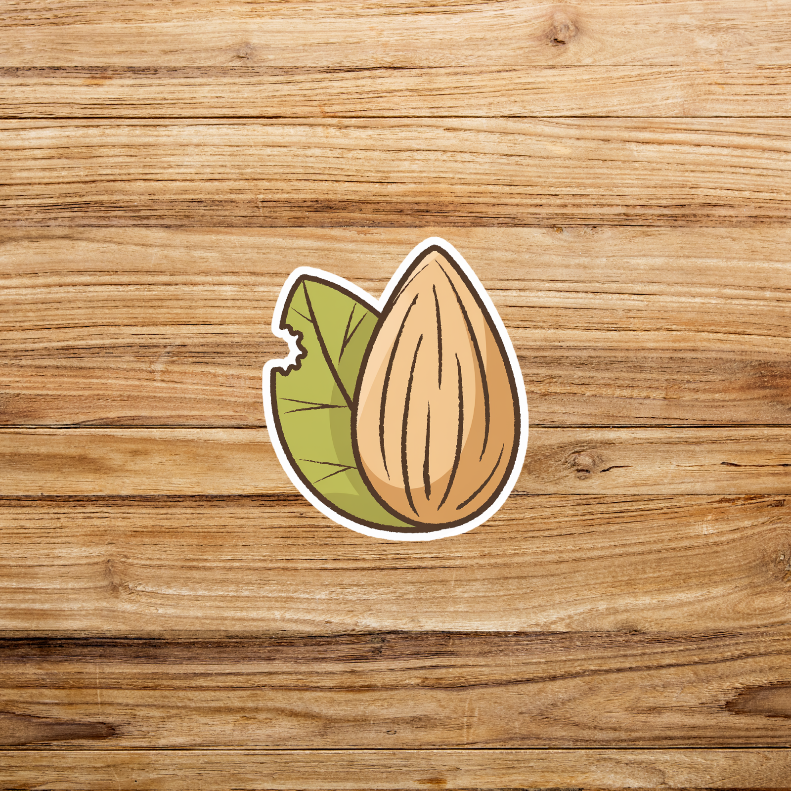 Almond Nut Sticker - Healthy Vegan Snack Illustration Decal #1909 | eBay