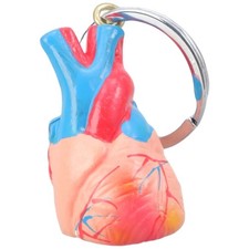 Heart Model Keychain Charm for Laboratory Training Compact Educational Accessory