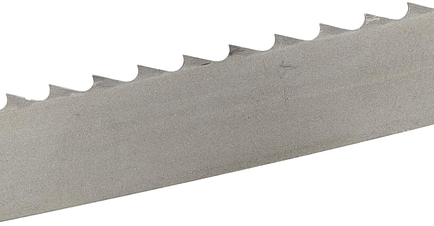 Lama a Nastro Professionale Celesa M42 - 5640 x 34 x 1,10 mm - 2HR