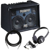 Roland Kc-110 Stereo Keyboard Amplifier Amp Pak on sale Roland Kc-110 Stereo Keyboard Amplifier Amp Pak on sale